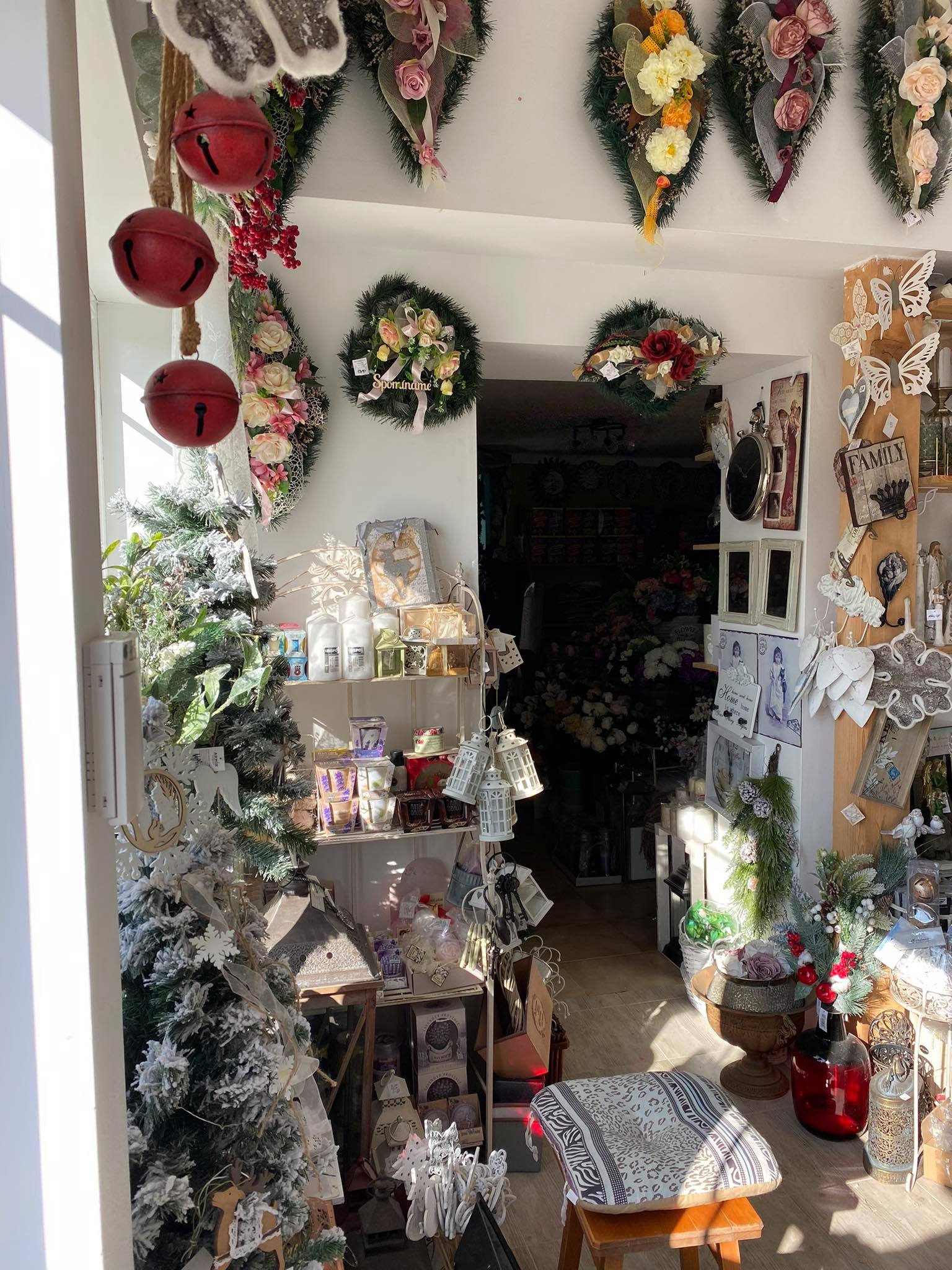 245408060_1331153300621305_7132605312264920526_n