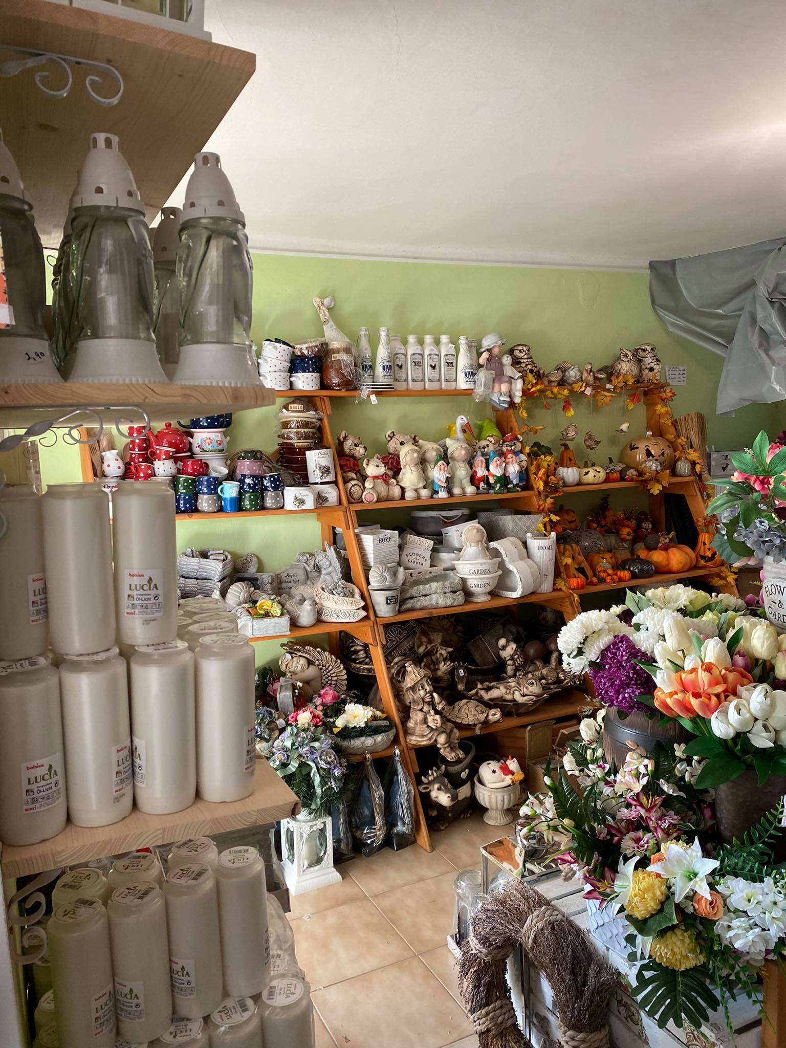 245439375_4590815387623763_8646428837682494042_n