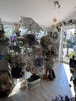 245416162_897354374247308_7275282430169744157_n