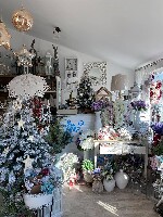 245139163_3042436586043814_154612767849796299_n