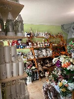 245439375_4590815387623763_8646428837682494042_n