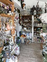 245396619_217795983629946_8935602150406314654_n